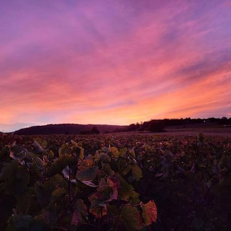 Le Clos Du Botaniste Pouilly-le-Monial Ngoại thất bức ảnh