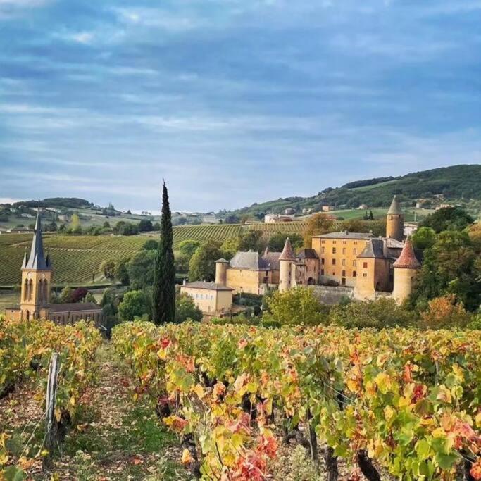 Le Clos Du Botaniste Pouilly-le-Monial Ngoại thất bức ảnh